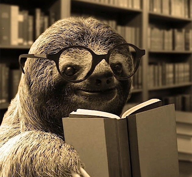 Sloth reading