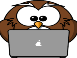 15 Minute Zoom Session Animal Communication or Psychic Counseling