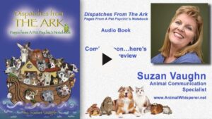 Audiobook preview