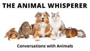 The Animal Whisperer podcast logo