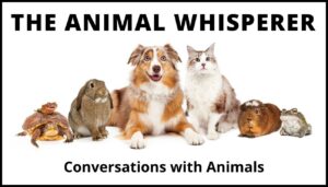 The Animal Whisperer podcast logo