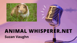 This image has an empty alt attribute; its file name is ANIMAL-WHISPERER-logo-with-mic-1024x576.png