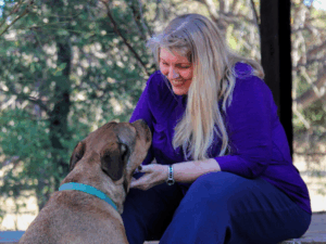 Mentorship in Animal Communication 4 Sessions