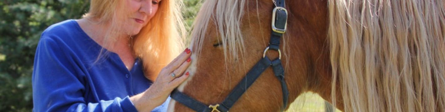 imgi_2_IMG_7844-1024x741